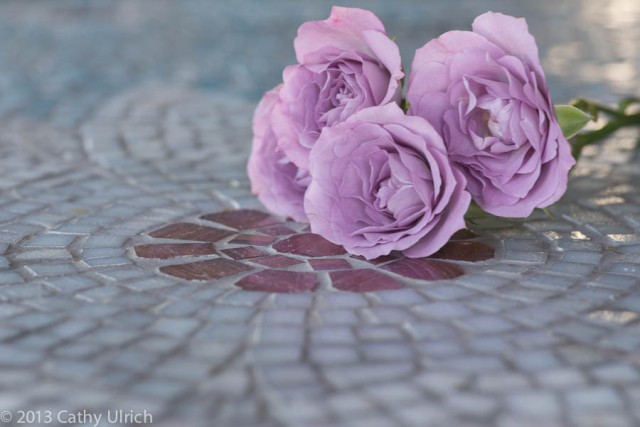 Lavender-rose